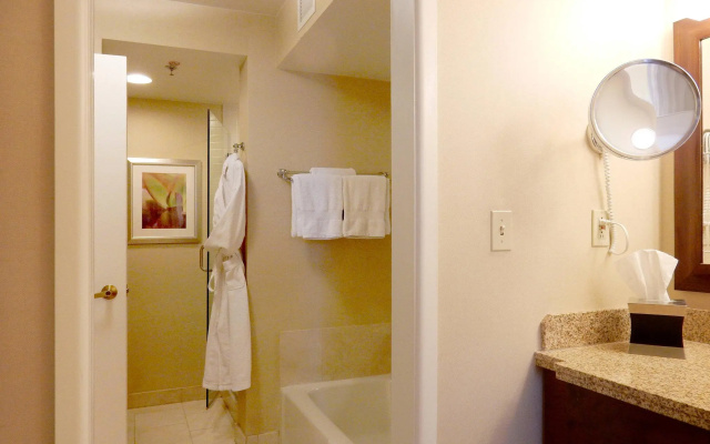 1 Bedroom Double Suite with mountain view