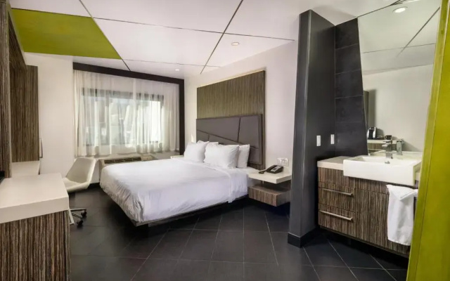 Double Suite