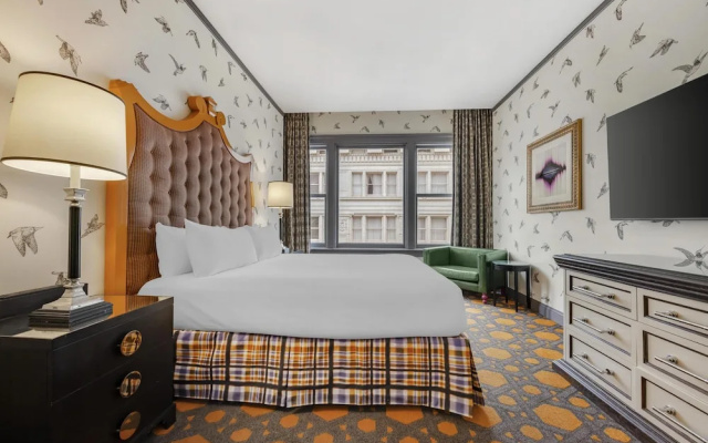 1 Bedroom Suite