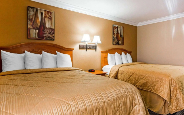 1 Bedroom Suite