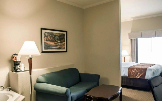 1 Bedroom Suite
