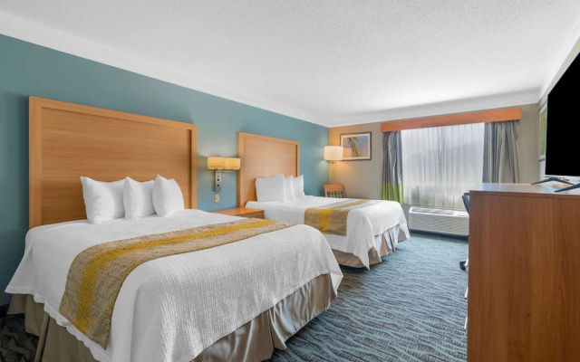 Mini Suite