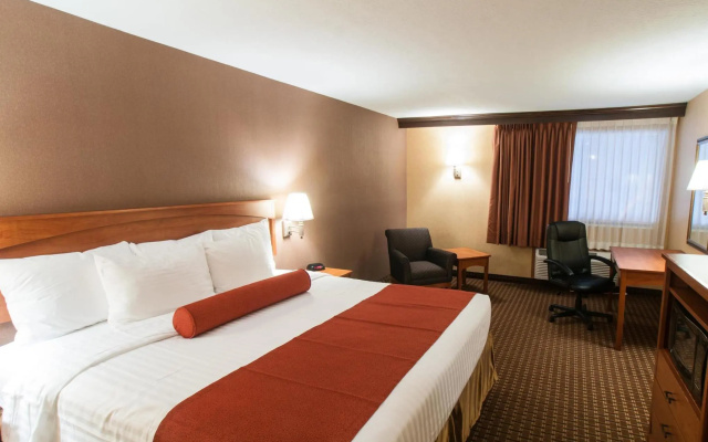 1 Bedroom Double Suite