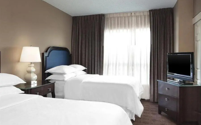 Standard Suite