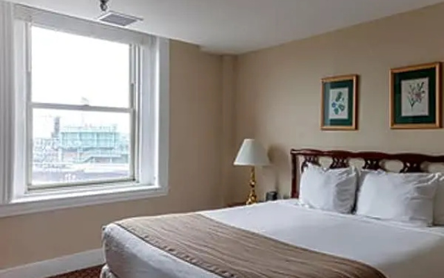 Superior Suite