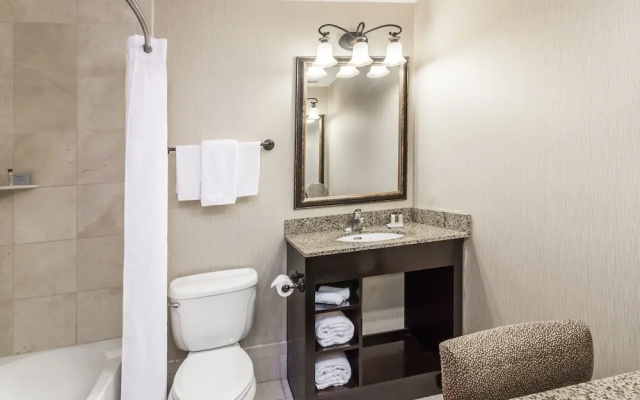 1 Bedroom Suite