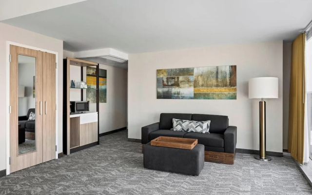 1 Bedroom Suite