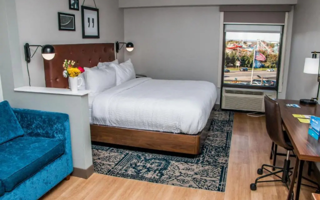 Standard Double room with park view