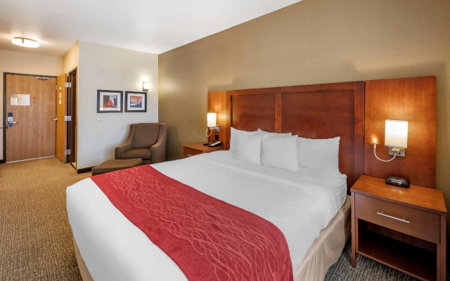 1 Bedroom Suite