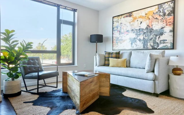 1 Bedroom Apartment