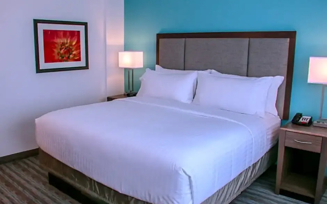 Standard Suite