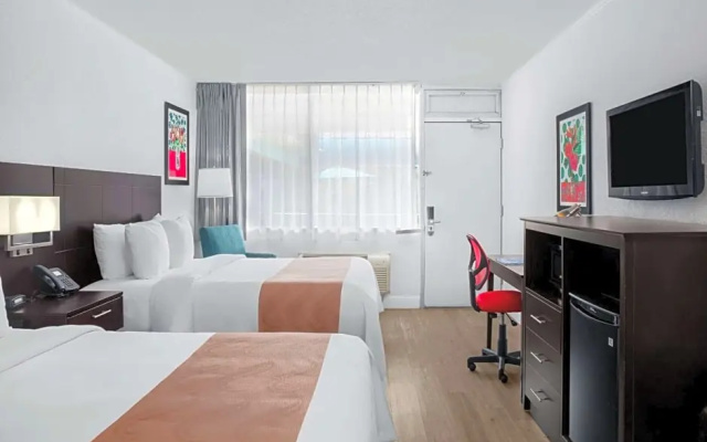 Standard Quadruple room with pool view