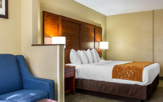 1 Bedroom Suite