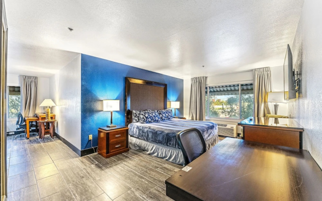 Business Double Apartment