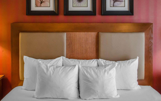 Accessible Double room