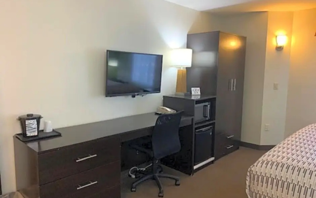 Standard Suite