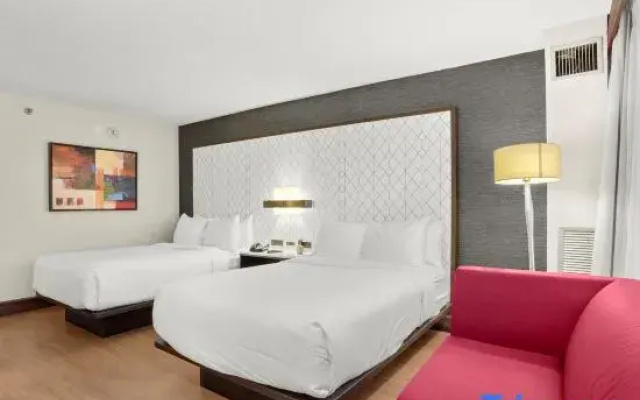 Quadruple Junior Suite