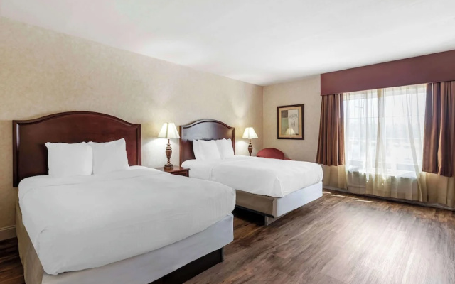 Business Quadruple room with view