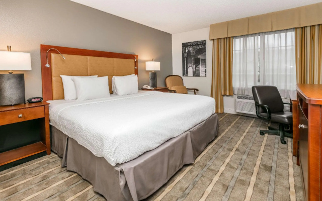 2 Bedrooms Sextuple Suite