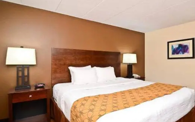 1 Bedroom Double Suite
