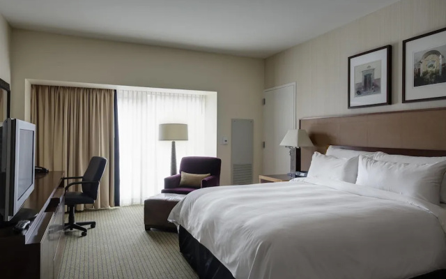 1 Bedroom Suite