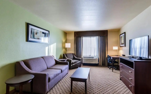 1 Bedroom Suite