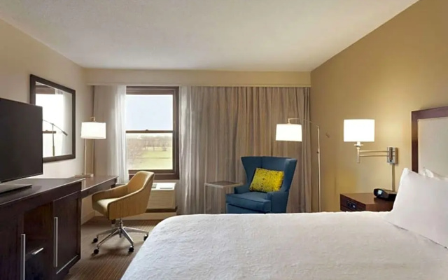 1 Bedroom Suite