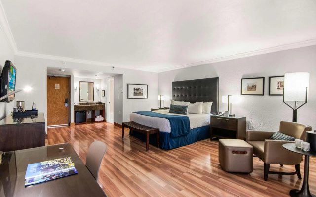 Junior Suite