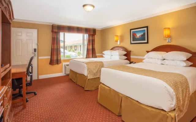 Standard Double room with pool view