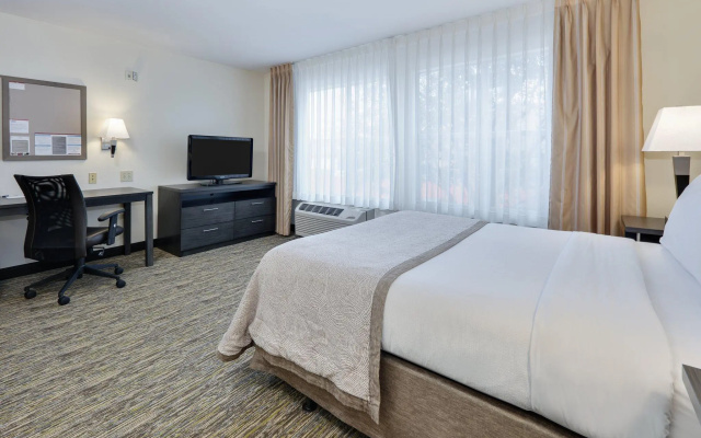 Accessible Double Studio Suite