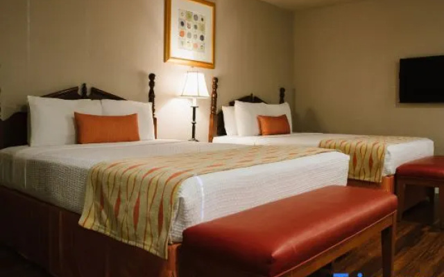 Standard Family Suite