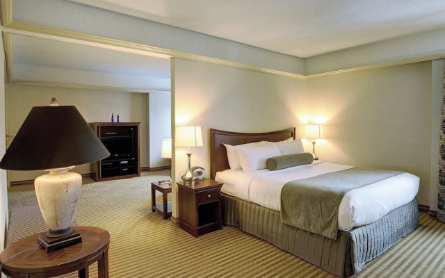 Double Suite with pool view