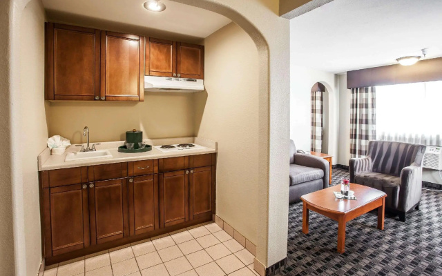 1 Bedroom Suite