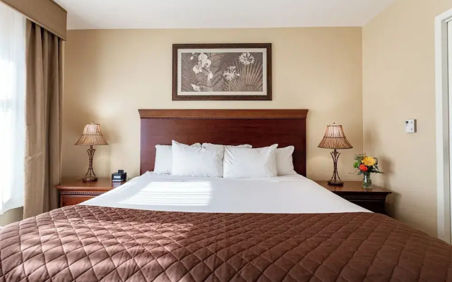 Superior Suite