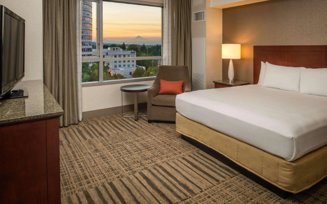 1 Bedroom Deluxe Double Suite