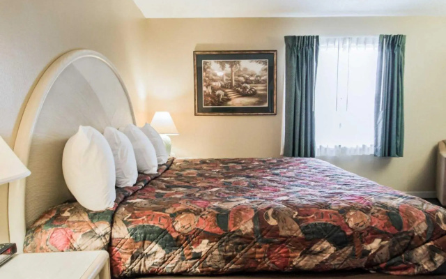 1 Bedroom Suite