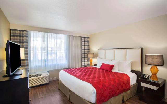 1 Bedroom Double Suite