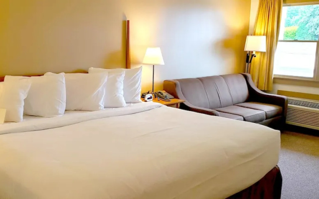 Premium Double Basement room