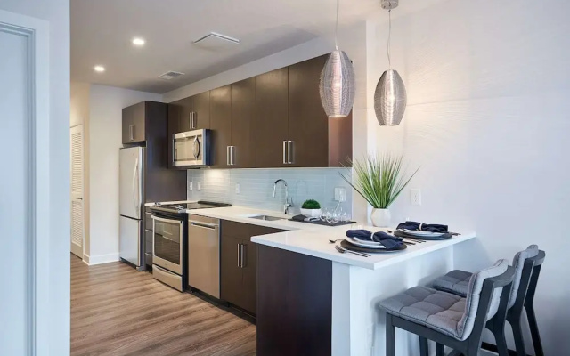 Luxury Apartment