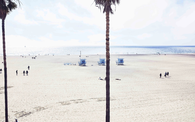 1 Bedroom Suite oceanfront