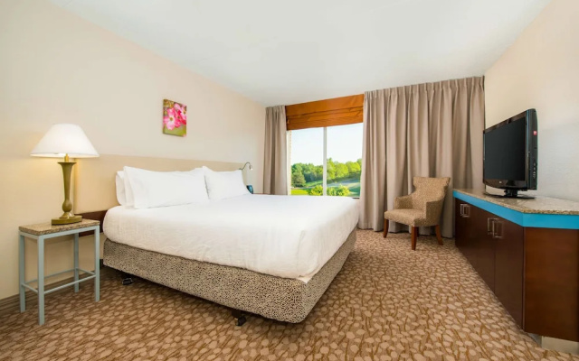 1 Bedroom Suite