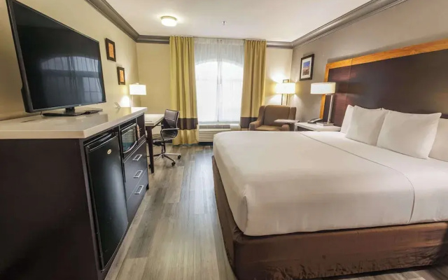 Quadruple Family Suite
