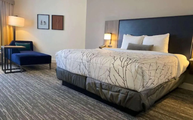 Standard room with pool view