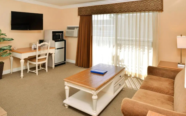 1 Bedroom Suite