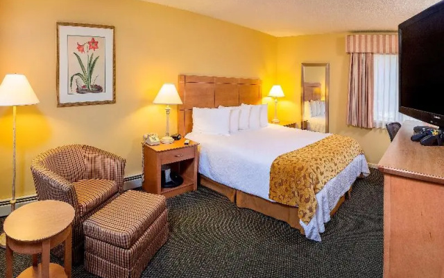 Standard Suite