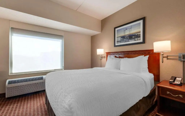 1 Bedroom Suite