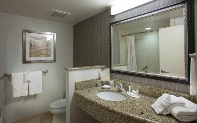 1 Bedroom Double Suite with balcony and with courtyard view