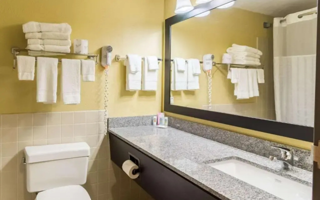 Quadruple Basement Suite