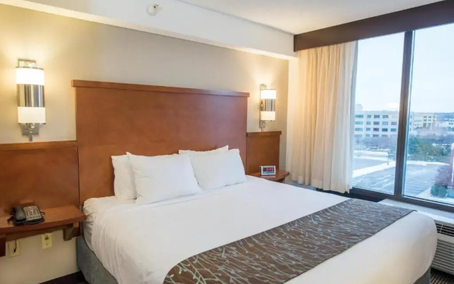 Room (with sofa bed)