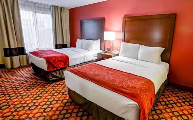 Standard Suite